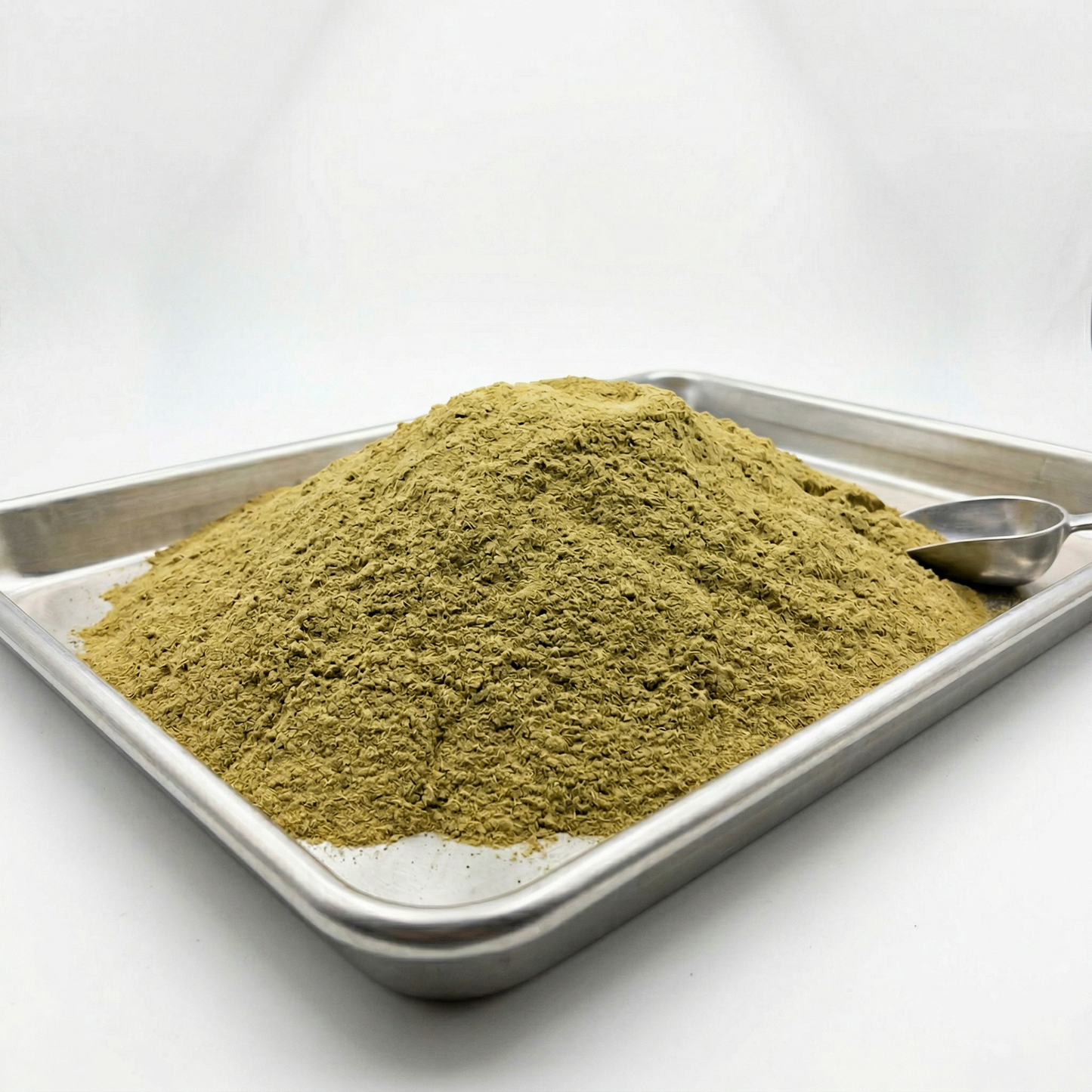 Bulk THCA kief powder mounded on a stainless steel tray with scoop — wholesale hemp kief, white background