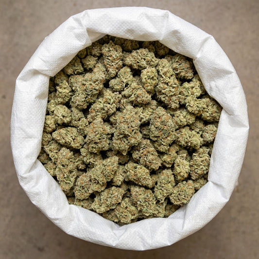 Bulk White Widow CBD flower presented in large-volume packaging, prepared for wholesale distribution. Carefully handled to maintain freshness, structure and consistency across the entire batch.