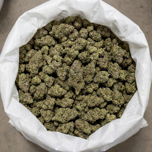 Bulk Gelato CBD flower ready for wholesale distribution. Large-volume packaging ensures efficient supply for retailers while preserving quality and freshness.