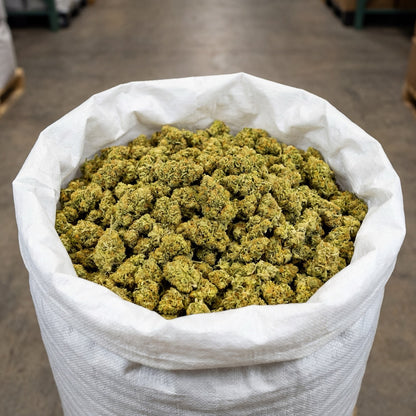 Bulk Lemon Octane CBD flower presented in large-volume packaging, ready for wholesale distribution. Carefully handled to preserve freshness, structure and consistency across the entire batch.