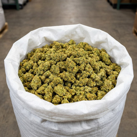 Bulk Lemon Octane CBD flower presented in large-volume packaging, ready for wholesale distribution. Carefully handled to preserve freshness, structure and consistency across the entire batch.