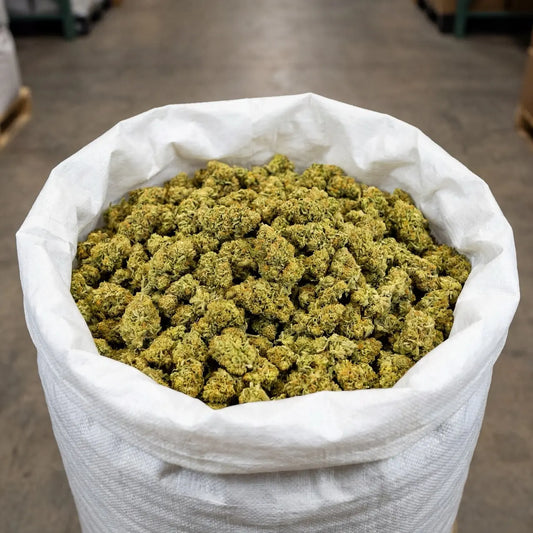 Bulk Lemon Octane CBD flower presented in large-volume packaging, ready for wholesale distribution. Carefully handled to preserve freshness, structure and consistency across the entire batch | Hurcann
