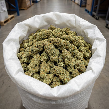 Bulk Blue Dream CBD flower presented in large-volume packaging, ready for wholesale distribution. Carefully handled to maintain freshness, structure and overall product quality across the batch.