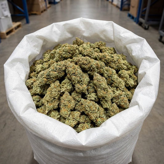 Bulk Blue Dream CBD flower presented in large-volume packaging, ready for wholesale distribution. Carefully handled to maintain freshness, structure and overall product quality across the batch.