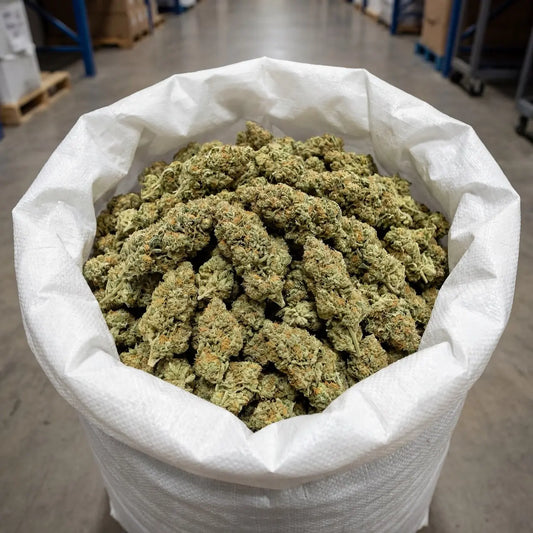 Bulk Blue Dream CBD flower presented in large-volume packaging, ready for wholesale distribution. | Hurcann