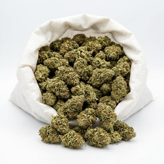 Bulk Alien Cookies CBD flower presented in large-volume packaging, prepared for wholesale distribution. Carefully handled to maintain freshness, structure and overall batch consistency