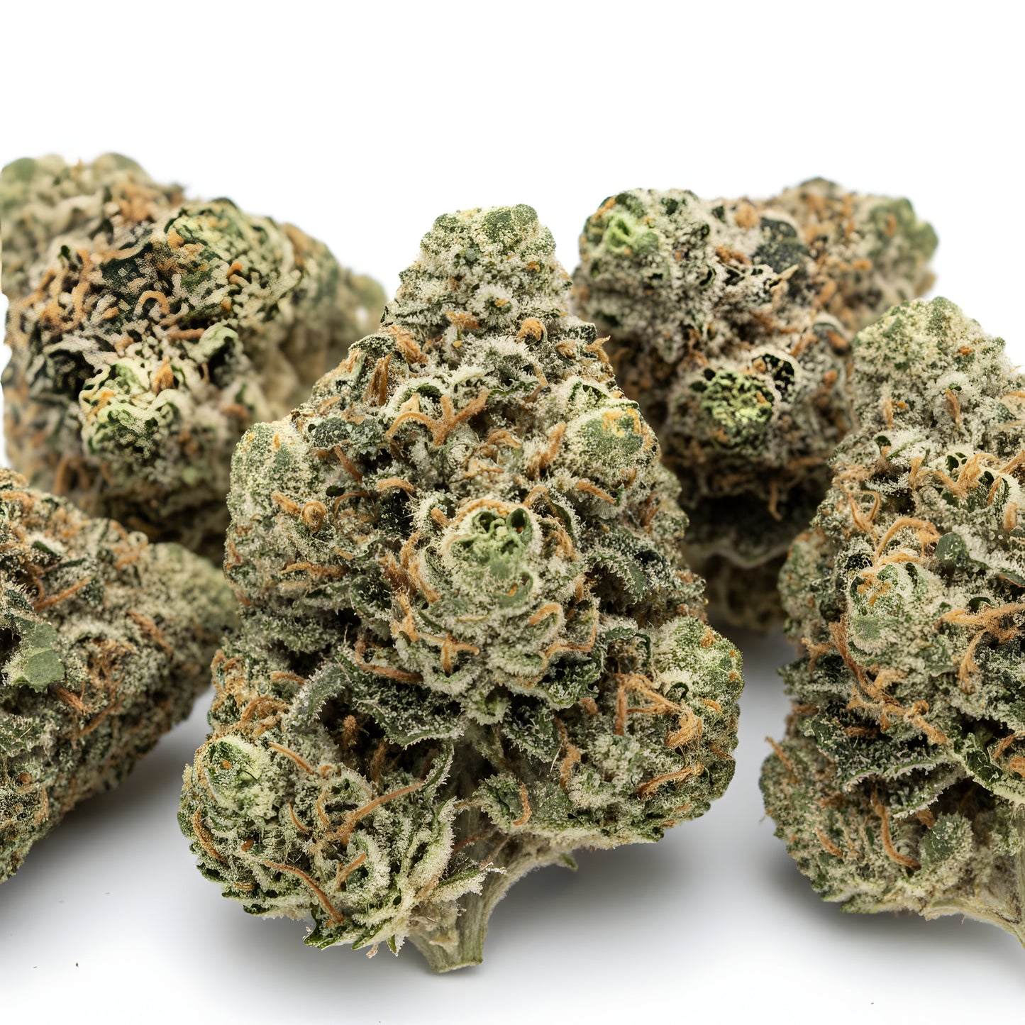 Close-up zoom of Afghani Kush THCa hemp flower pure indica AA grade, focusing on thick trichome coverage and classic landrace bud density