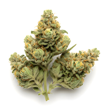 Close-up image of Lemon Love THCa hemp flower sativa AAA grade, focusing on frosty trichomes and zesty citrus coloration