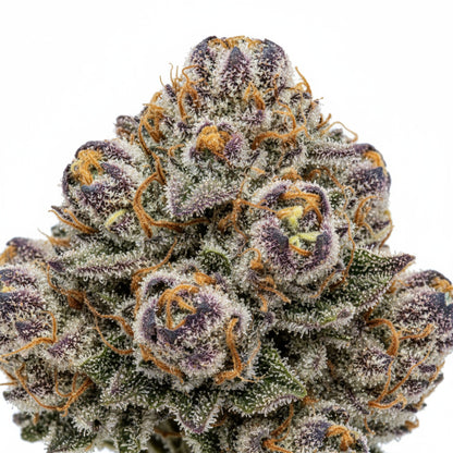 The aroma combines ripe cherries, tropical fruit, and a hint of diesel sweetness.