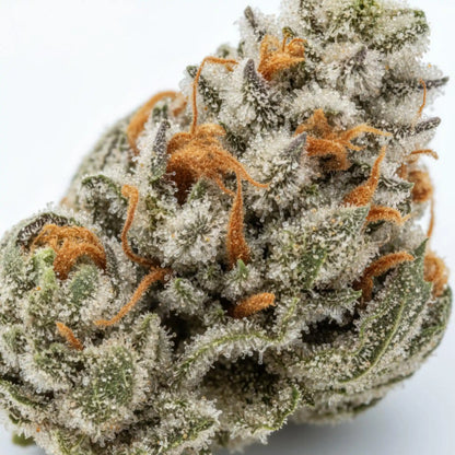 Close up zoom image of Divinity THCA flower AAA grade, highlighting heavy trichome coverage, deep purple accents, orange hairs, and creamy berry terpene profile | Hurcann