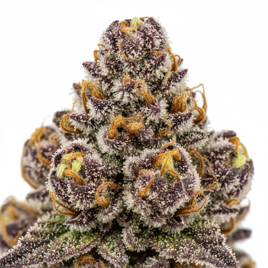 The aroma deepens when broken apart, revealing earthy and fruity richness.