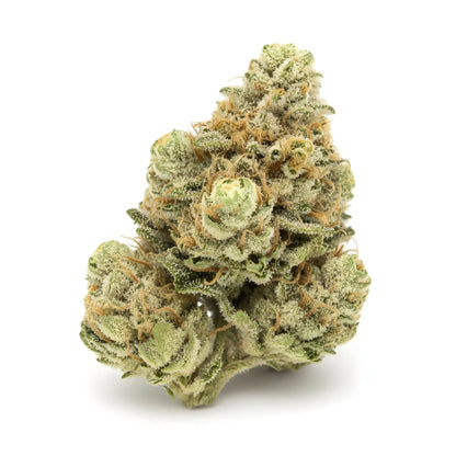 Close up zoom image of Sour Diesel THCA flower AA grade, highlighting thick trichome coverage, sticky texture, and premium indoor cure.
