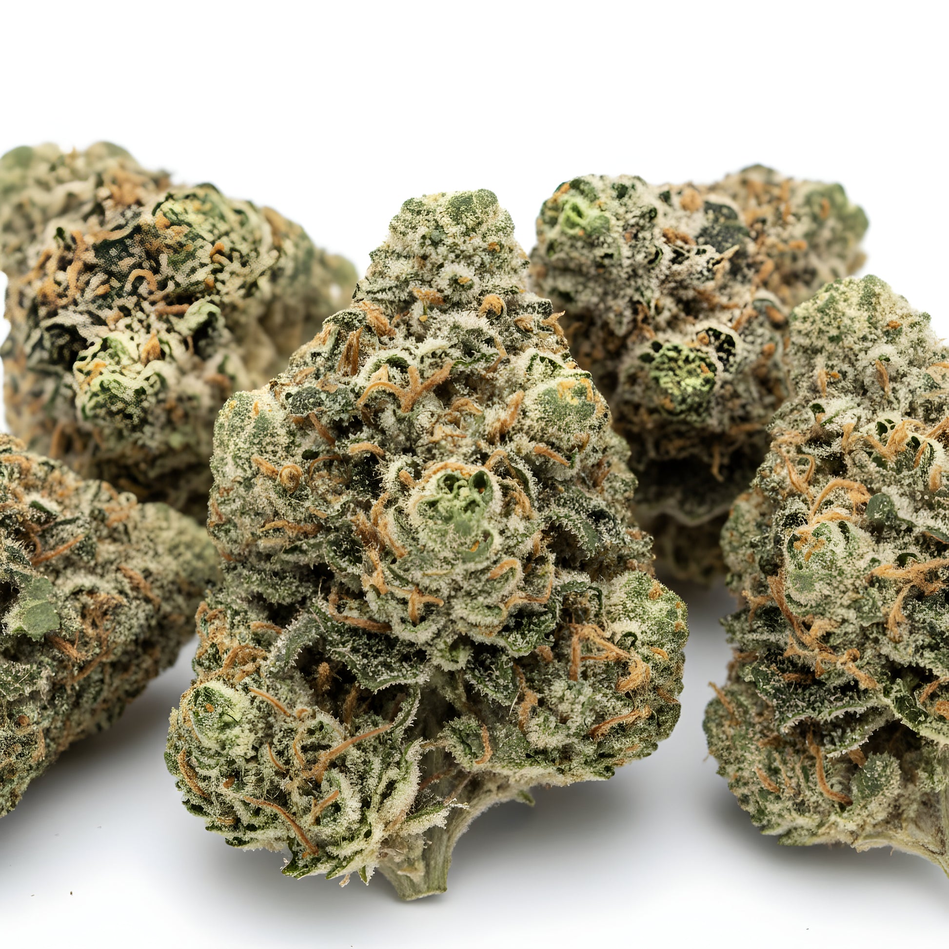 Close-up zoom of Afghani Kush THCa hemp flower pure indica AA grade, focusing on thick trichome coverage and classic landrace bud density