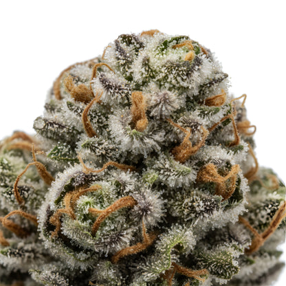 Close up zoom image of Rainbow Reserve THCA flower hybrid AAA grade, highlighting dense crystal trichomes, bright purple and orange accents, and bold pineapple berry citrus terpene profile