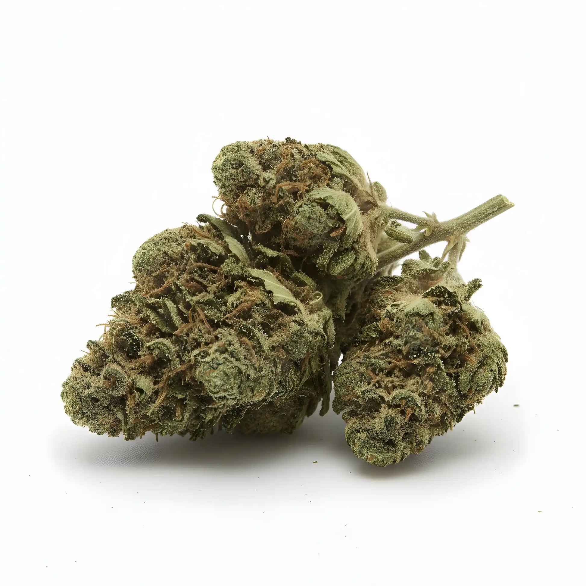 Zoom close-up of Jungle Fuel THCa Hemp Flower highlighting trichome coverage, sticky resin texture, forest-green buds, and terpene-rich hybrid structure | Hurcann