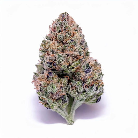 Blueberry THCA Hemp Flower – Exotic Indoor Grown (AAA-Grade) – AAA-grade, indoor-grown hand-trimmed cannabis buds | Hurcann
