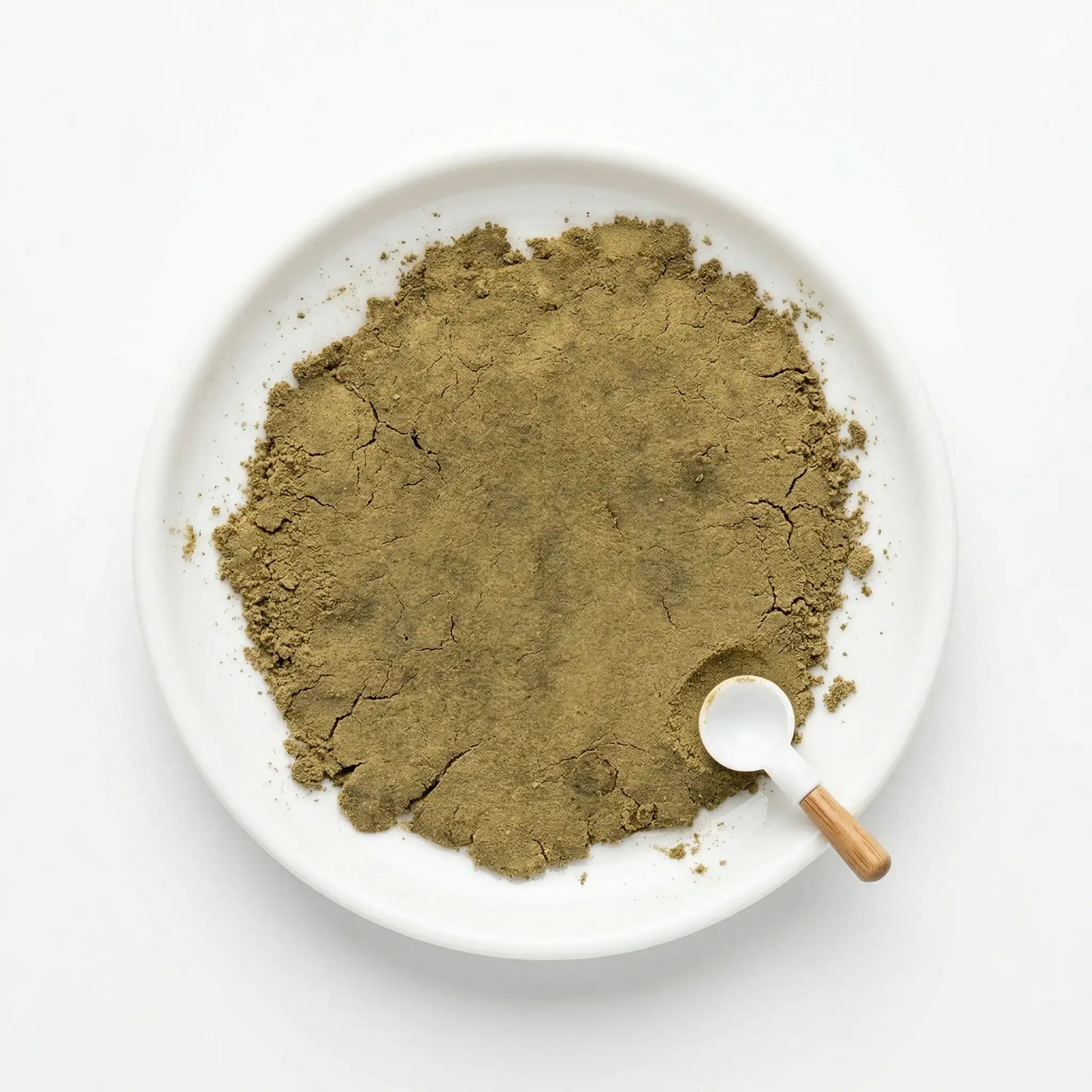 Loose uncured THCA bubble hash — olive-khaki powder on white ceramic plate with wooden scoop, overhead view