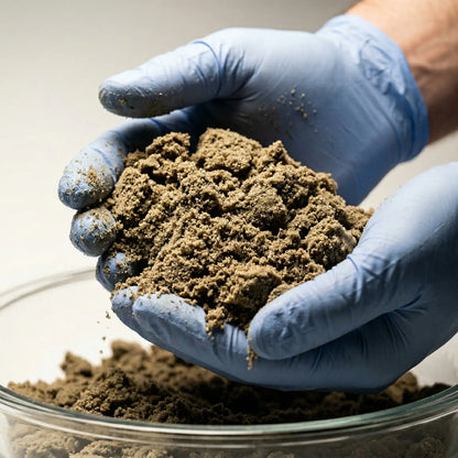 Blue-gloved hands scooping a large handful of crumbled THCA bubble hash from a glass bowl, conveying bulk quantity and granular texture