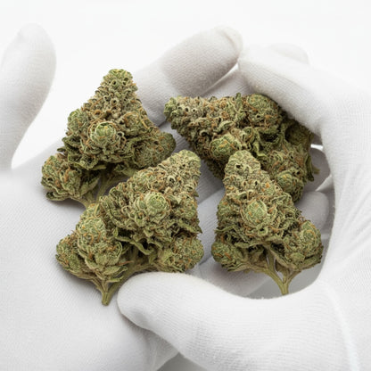 The structure is compact and resinous