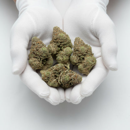 They appear sticky, resinous, and beautifully structured.