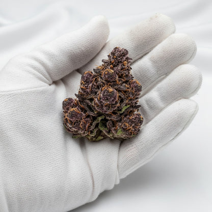 Each nug looks dense and crystal-rich.
