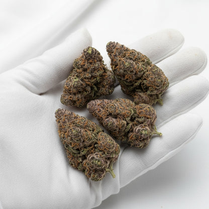 The scent is an irresistible mix of ripe peaches, tropical fruit, and light floral undertones