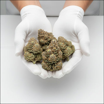 Airy and mysterious — a mix of sweet cream, mint, and delicate floral notes with an ethereal freshness.