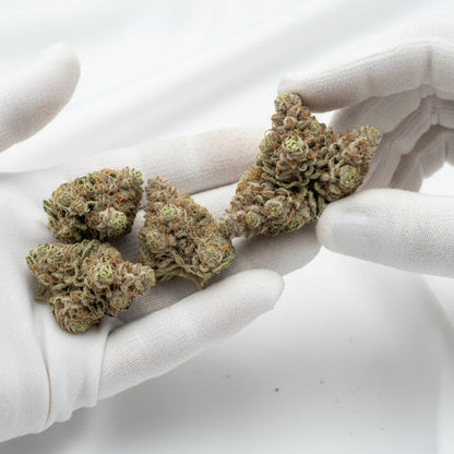 Its gentle effects make it perfect for daytime use or social settings where you want clarity without anxiety.