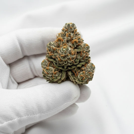 Its crystal frost gives it a stunning, high-end appearance.