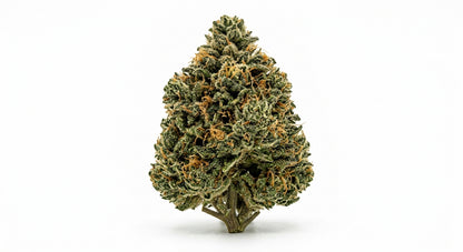 Afghan Kush CBD Hemp Flower — Indoor Grown | Premium | 3.5g – 28g — hero