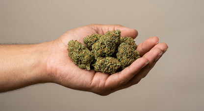 Afghan Kush CBD Hemp Flower — Indoor Grown | Premium | 3.5g – 28g — inhand