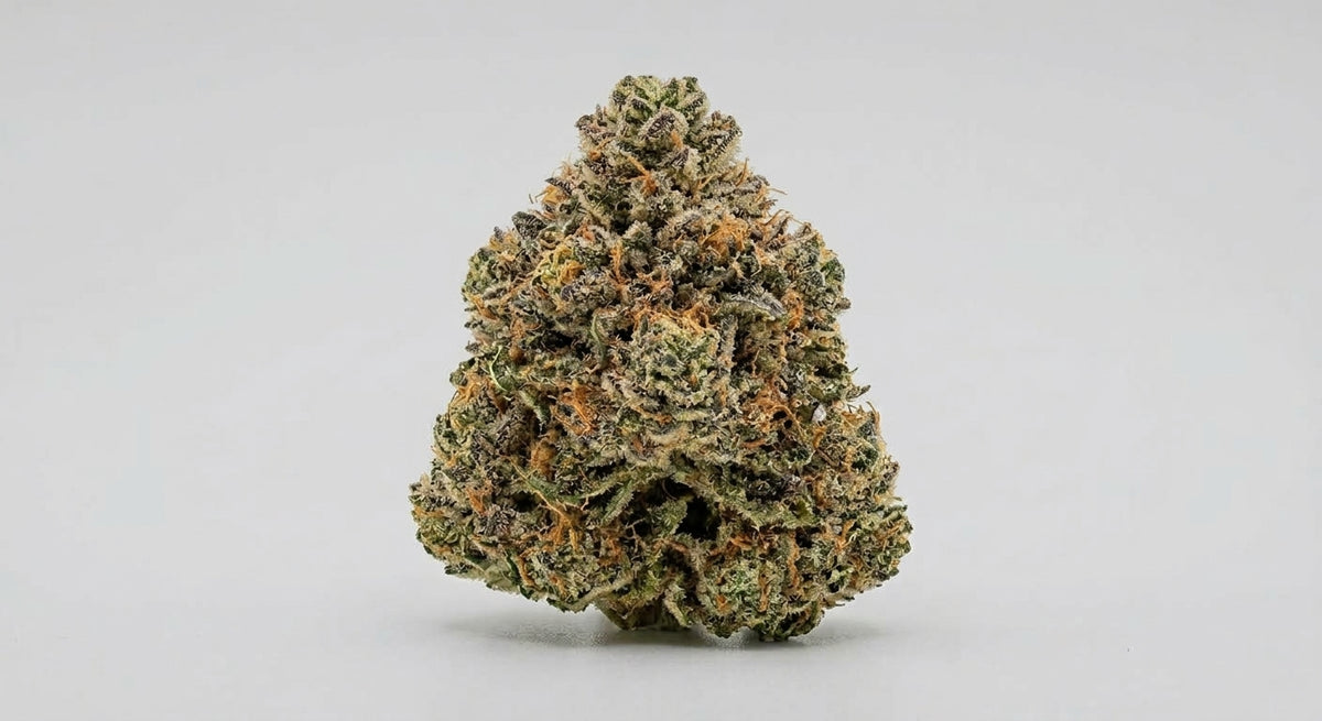 Berry Pie CBD Hemp Flower — Premium | Lab Tested | 3.5g – 28g — angle