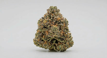 Berry Pie CBD Hemp Flower — Premium | Lab Tested | 3.5g – 28g — angle