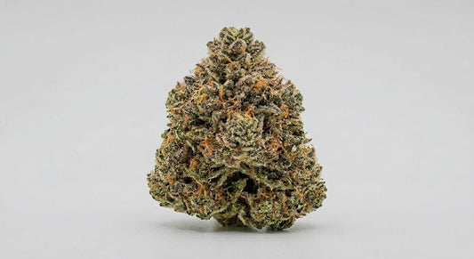 Berry Pie CBD Hemp Flower — Premium | Lab Tested | 3.5g – 28g — angle