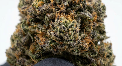 Berry Pie CBD Hemp Flower — Premium | Lab Tested | 3.5g – 28g — closeup