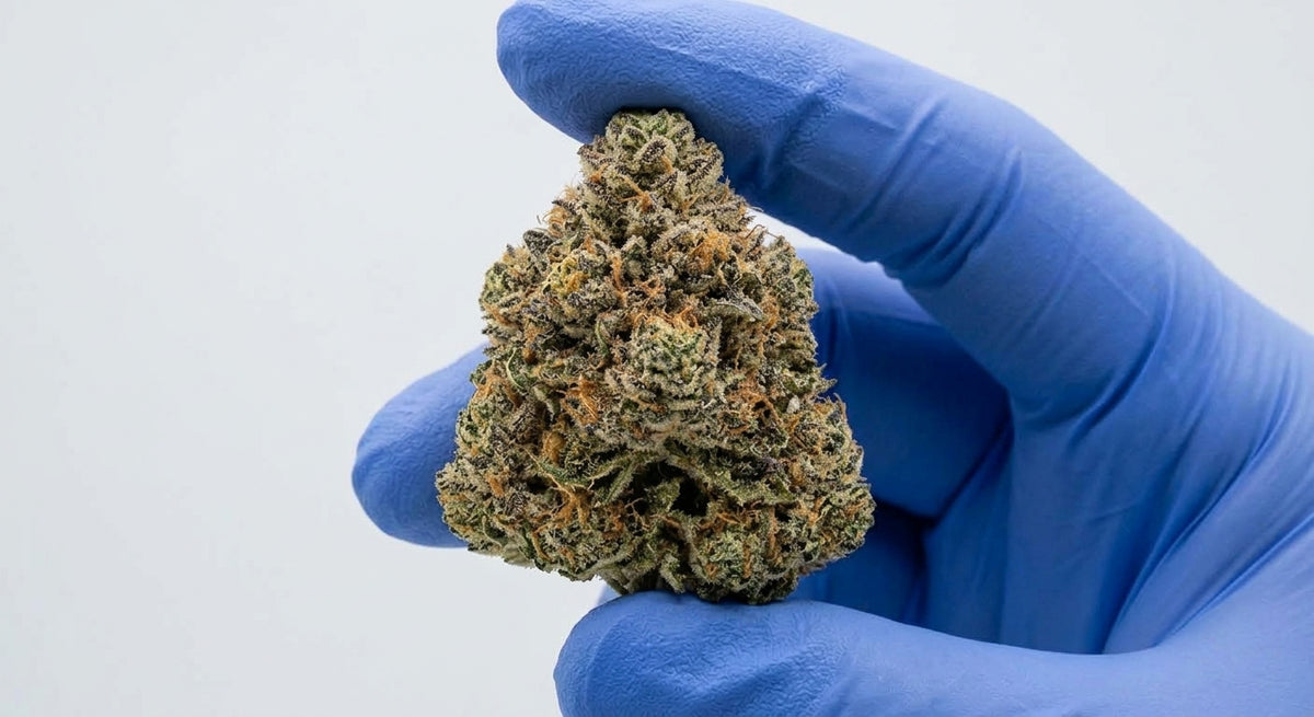 Berry Pie CBD Hemp Flower — Premium | Lab Tested | 3.5g – 28g — inhand