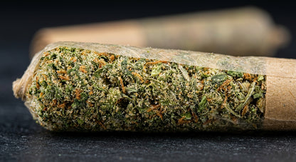 Blue Dream CBD Pre-Roll Joint — 1g | Hemp-Derived | Lab-Tested — closeup