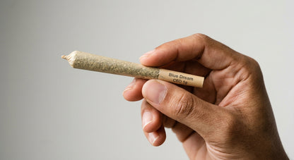 Blue Dream CBD Pre-Roll Joint — 1g | Hemp-Derived | Lab-Tested — inhand