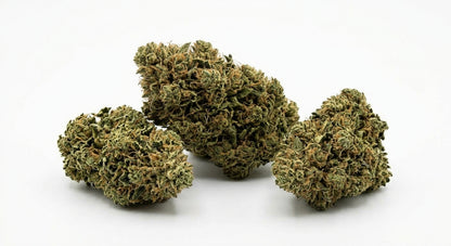 Blues CBD Hemp Flower — buds