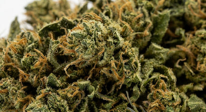 Blues CBD Hemp Flower — macro