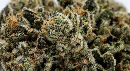 Bubba CBD Hemp Flower — Premium | Lab Tested | 3.5g – 28g — closeup