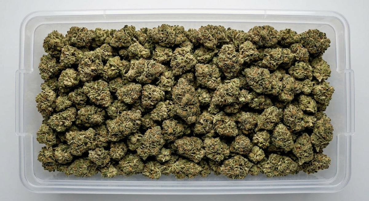 Bubba CBD Hemp Flower — Premium | Wholesale Bulk | 1 lb – 5 lbs — wholesale-bin