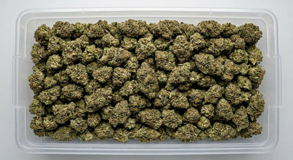 Bubba CBD Hemp Flower — Premium | Wholesale Bulk | 1 lb – 5 lbs — wholesale-bin
