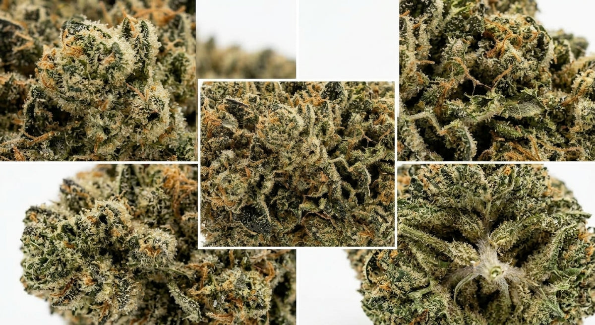Bubba CBD Hemp Flower — Premium | Wholesale Bulk | 1 lb – 5 lbs — wholesale-closeup