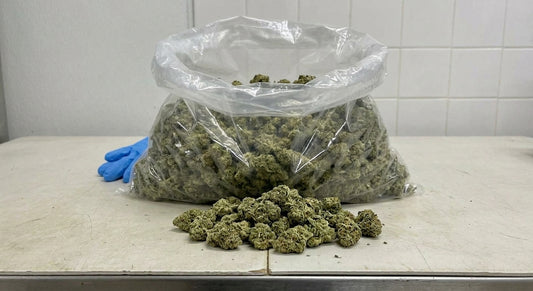 Bubba CBD Hemp Flower — hero