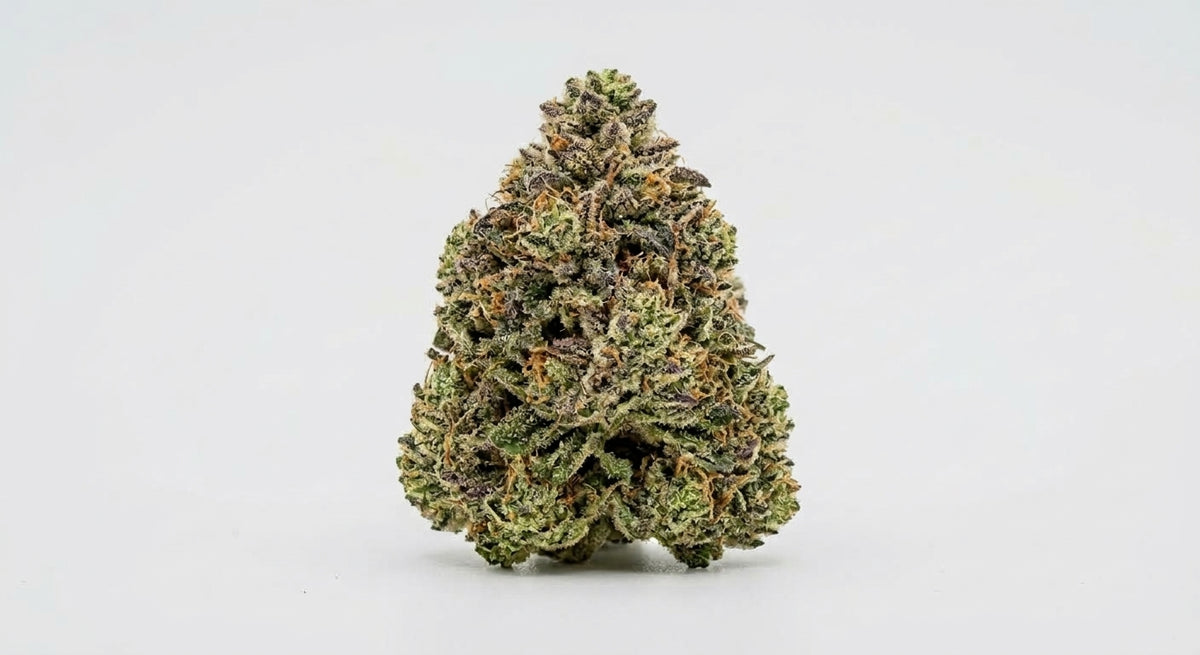 Cake Berry CBD Hemp Flower — Premium | Lab Tested | 3.5g – 28g — angle