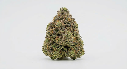 Cake Berry CBD Hemp Flower — Premium | Lab Tested | 3.5g – 28g — angle