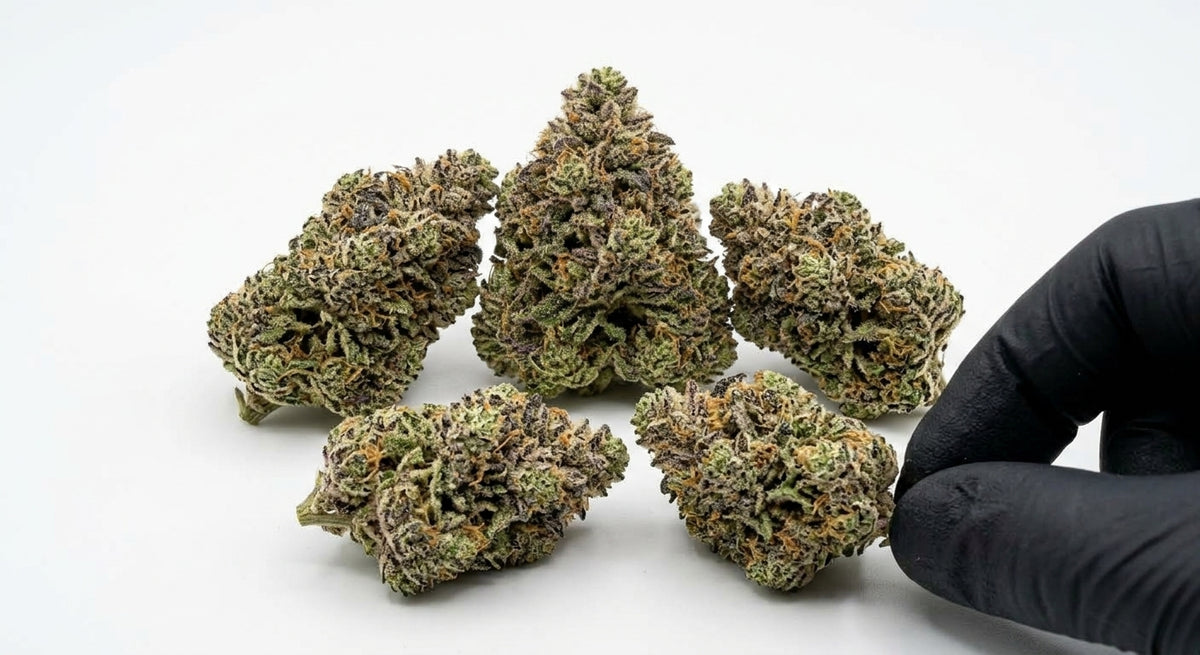 Cake Berry CBD Hemp Flower — Premium | Lab Tested | 3.5g – 28g — group