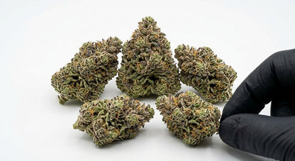 Cake Berry CBD Hemp Flower — Premium | Lab Tested | 3.5g – 28g — group
