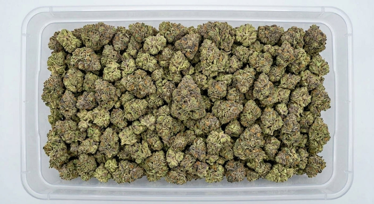 Cake Berry CBD Hemp Flower — Premium | Wholesale Bulk | 1 lb – 5 lbs — wholesale-bin